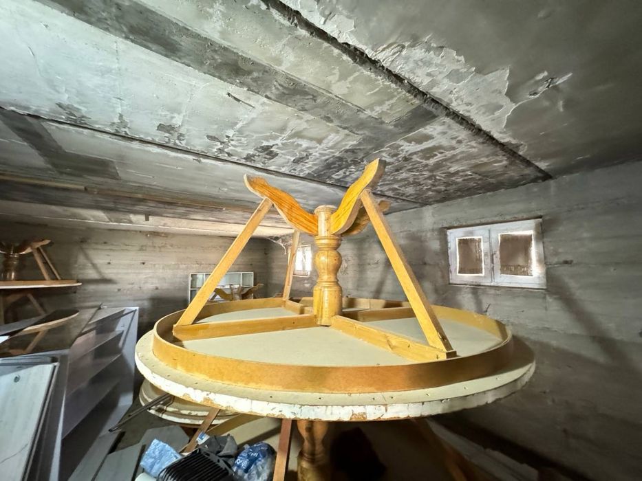 Оптом Столар сотилади енгок чинор