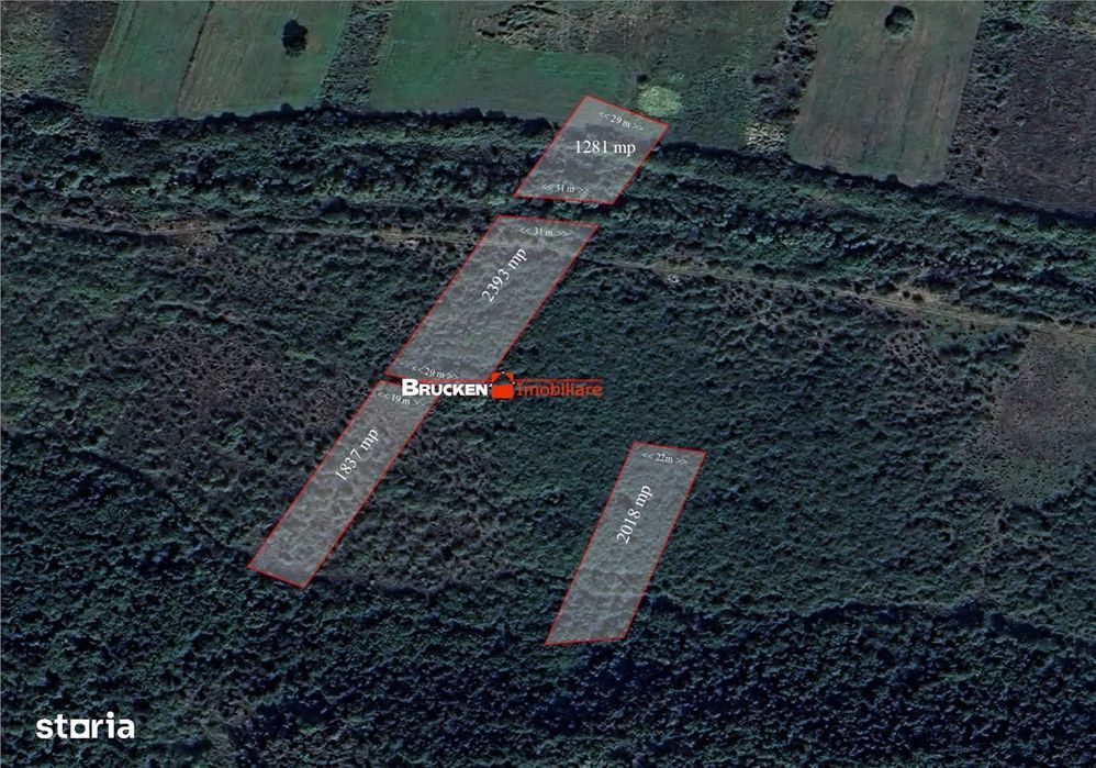 Teren arabil de vanzare – 2,34 ha (23.400 mp) – Husasau de Tinca-BH