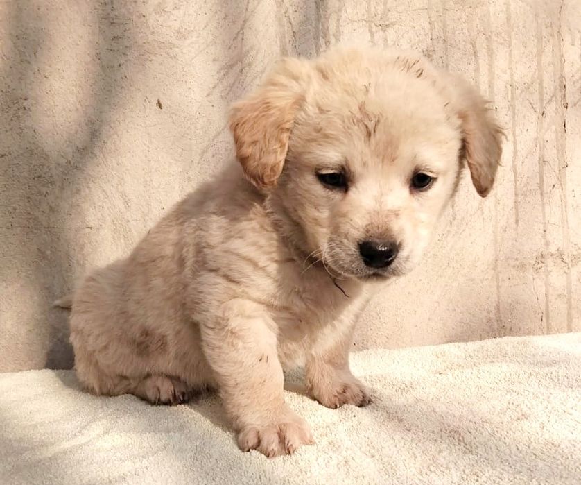 Не проходите мимо подарите дом бездомным