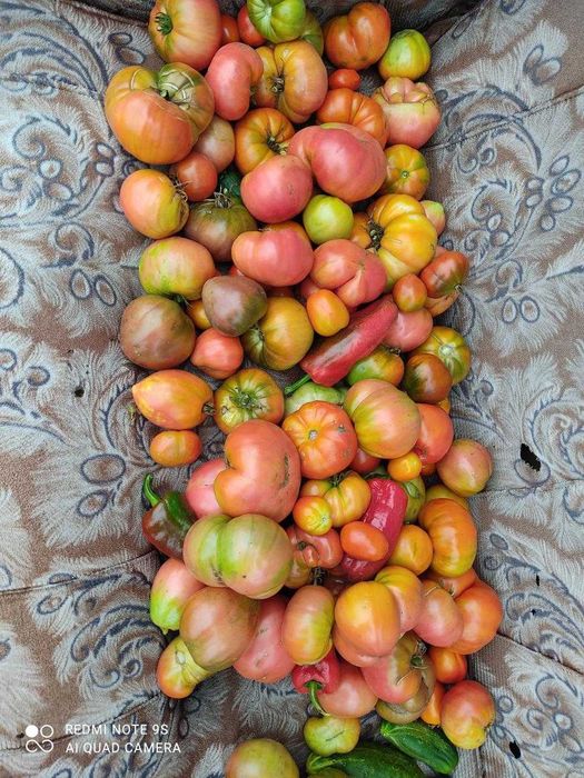 Продам дачу Подснежник2