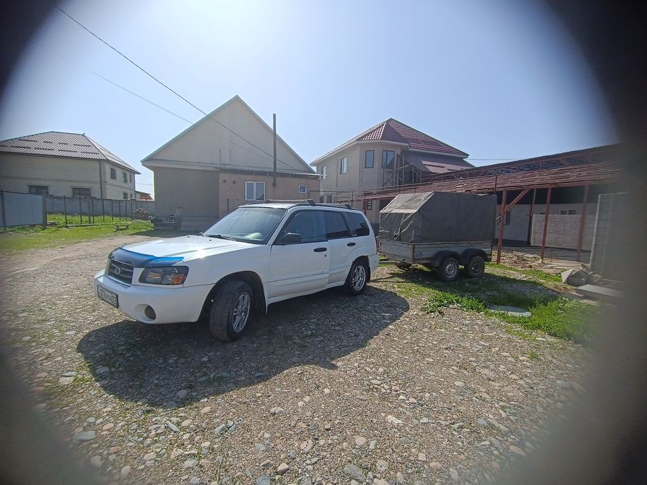 Прицеп легковой 2