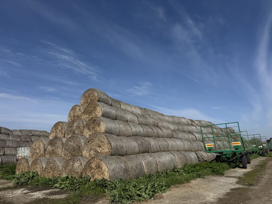 Baloți din paie de grâu