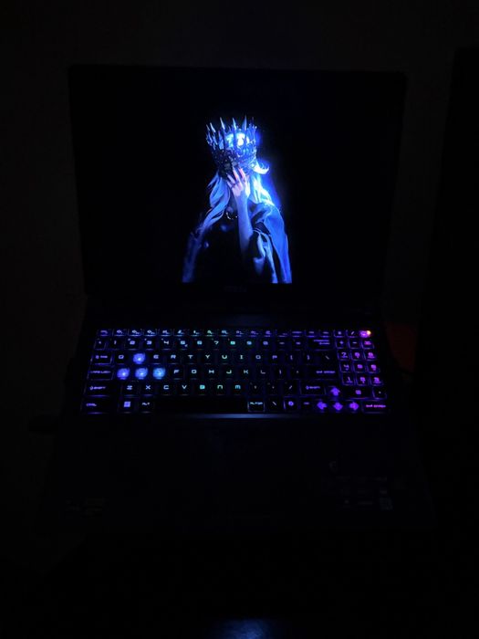 Игровой ноутбук MSI Vector 16HX A13VHG 2.5K/240Hz Mini-LED i9/RTX 4080