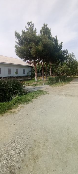 Ховли сотилади 300 миллионга!