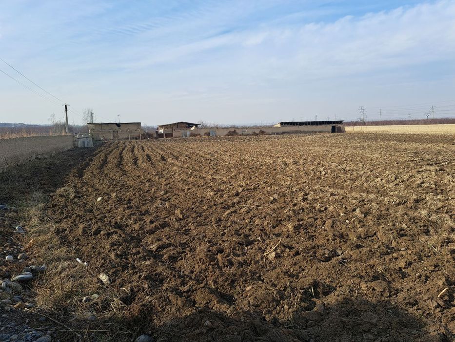 Нотурар ер сотилади ферма учун