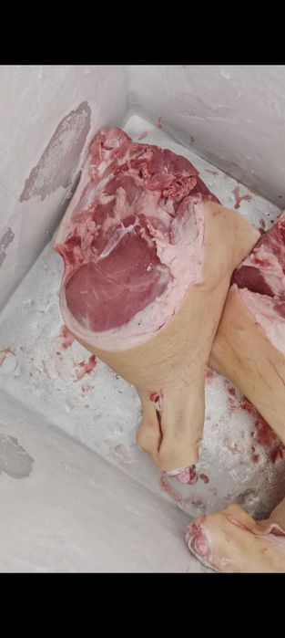 Свинина домашняя