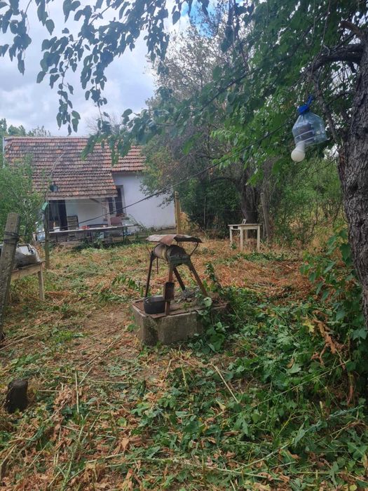 Косене почистване на дворове