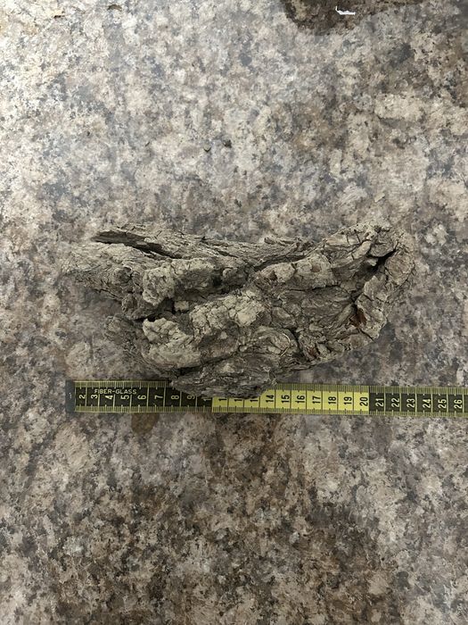 Diferite bucati de lemn decorativ pentru acvariu
