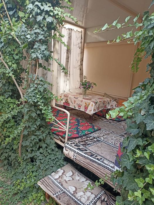 Новмасковский участок