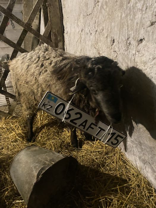 ПРОДАМ не дорого