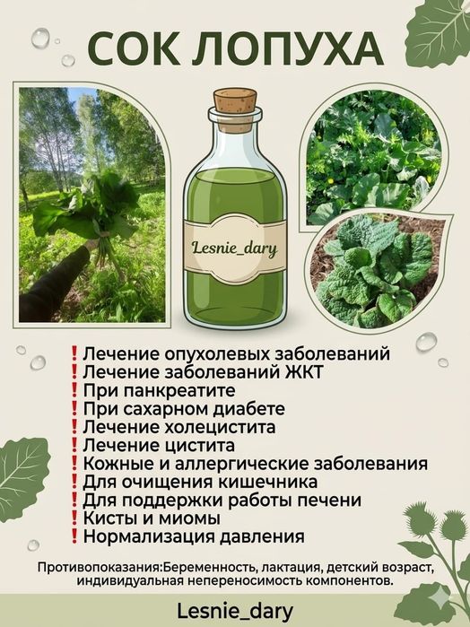 Сок лопуха майского