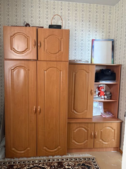 Мебель (кресло и шкаф)