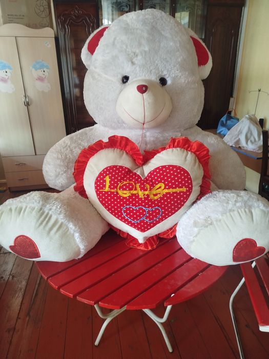 Oq ayiq  boʻyi 180sm oganmga 6 oy bogan