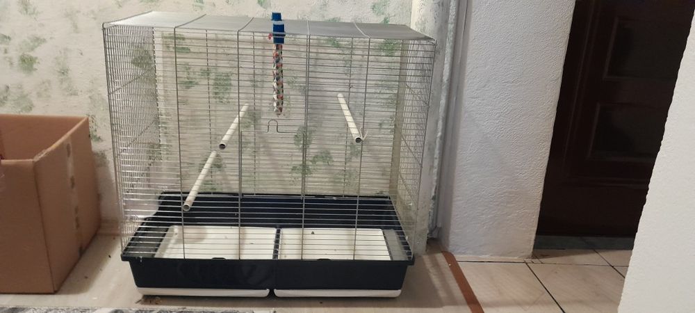 cusca mare pt papagali