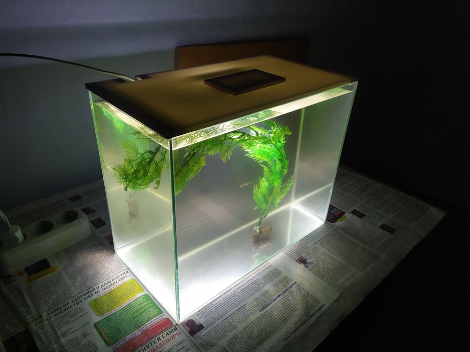 Новый аквариум + бонусы и рыбки.