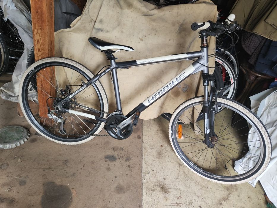 Biciclete olanda italia