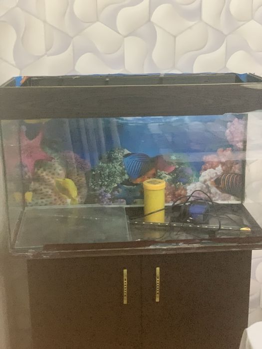 Продом акварум нет загрязнений