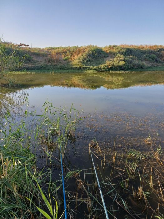 Баликхона узок муддатли ижарага берилади.