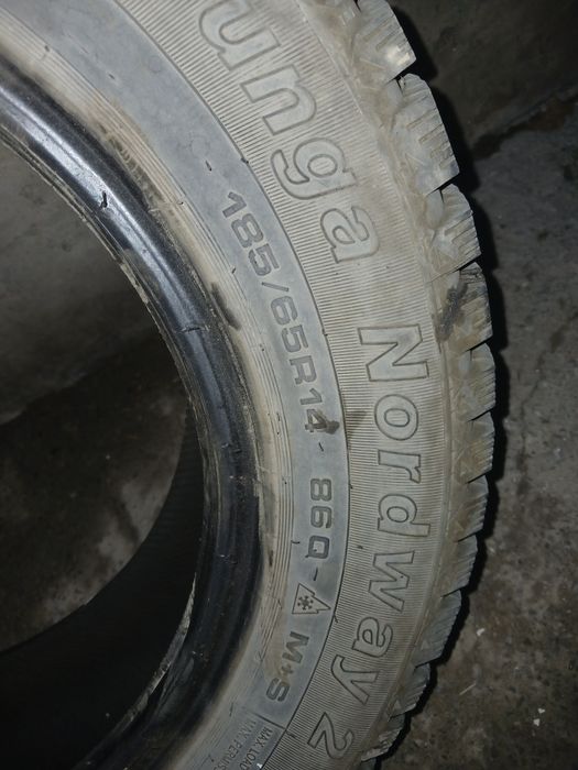 Зимний балон 185 65