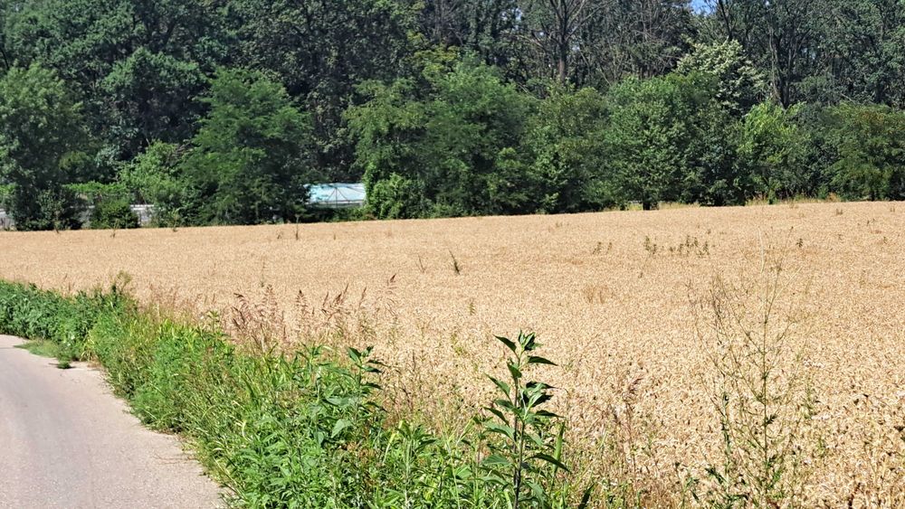 Ocazie unică. VAND teren intravilan pt. construcții.
Persoană  fizică