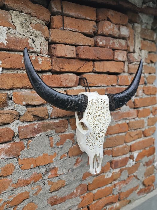 Ръчно резбован биволски череп