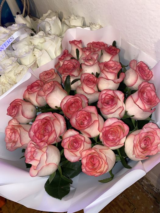 25 шт, голландский розы