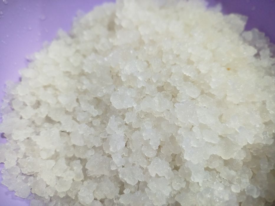 Индийский морской рис_лечебный