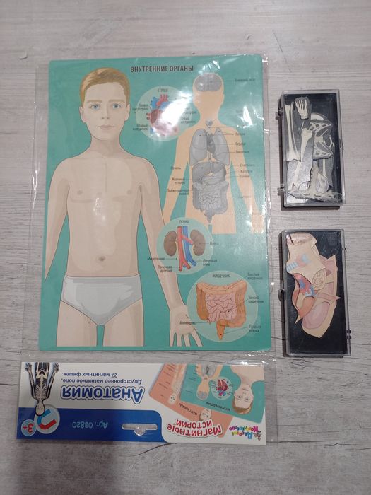 Развивашки  для детей