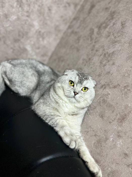 Вязка(насл олиш)