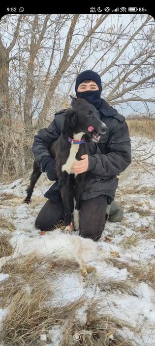 Тазы сатылады полный рабочий