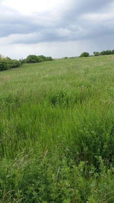 Teren  intravilan de vânzare