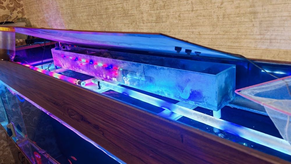 Продаётся аквариумная мини ферма.