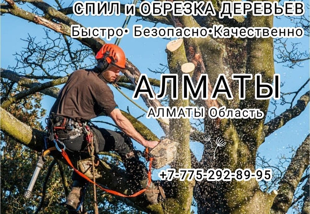 Спил деревьев агаш кесемиз