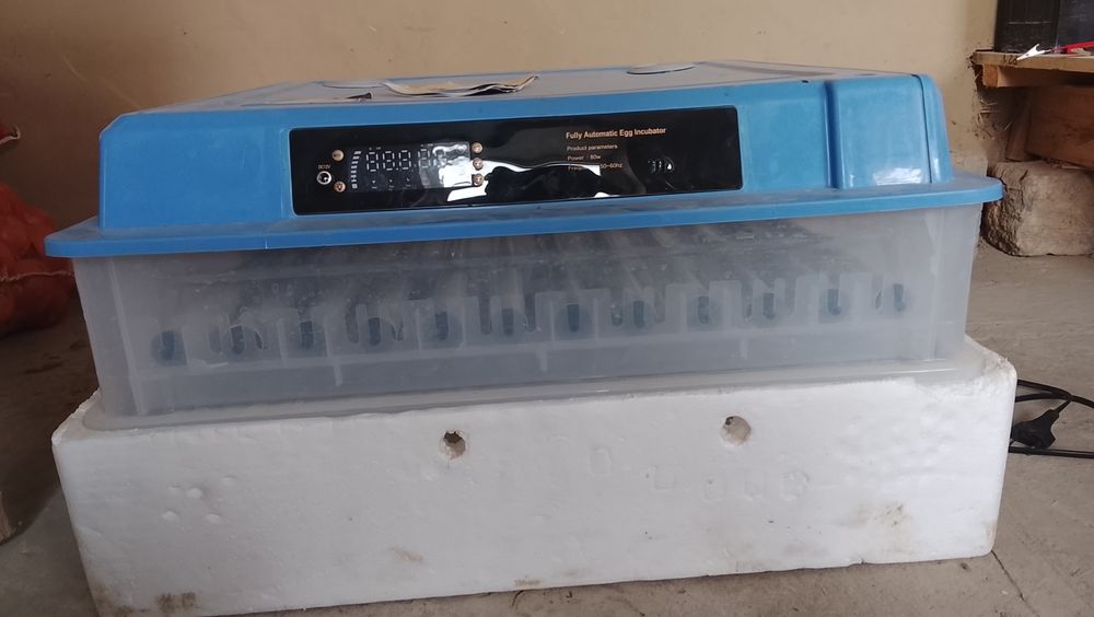 Inkubator  Xtoyniki zavotiskoy kafolat bilan