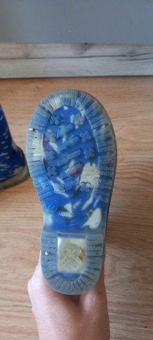 Гумени ботуши за момче