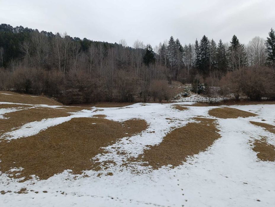 Vând teren 9000 mp teren Grozăvești com Hanguu