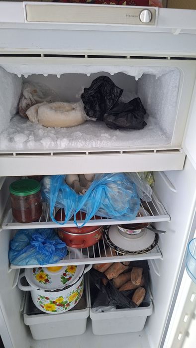 Xaladelnik sotiladi xollari zur