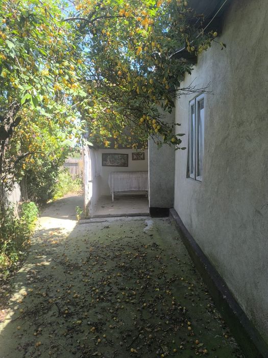 Casă bătrânească cu teren 1.303 mp – Gălbinași, Tăbărăști, Buzău
