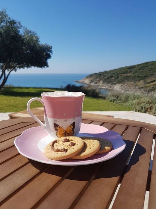 Вила на Неа Перамос