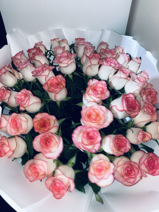 51шт роза жаңа ғана келді