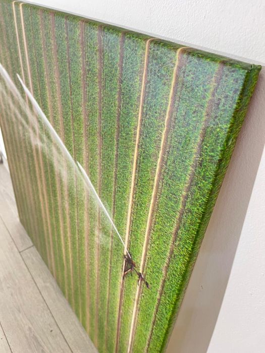 Tablou Pe Pânză – Fotografie Aeriană Cu Irigație, Format Mare