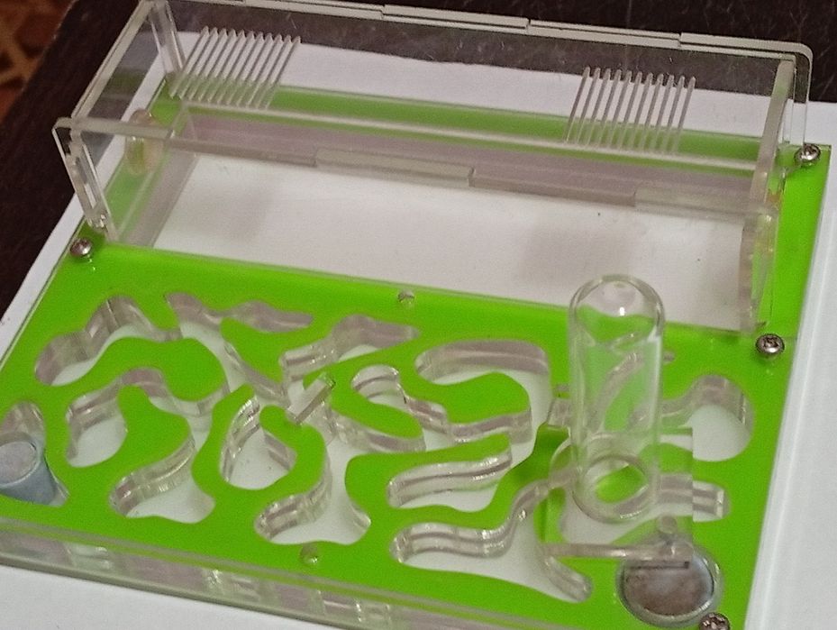 Муравьиная ферма для начинающих