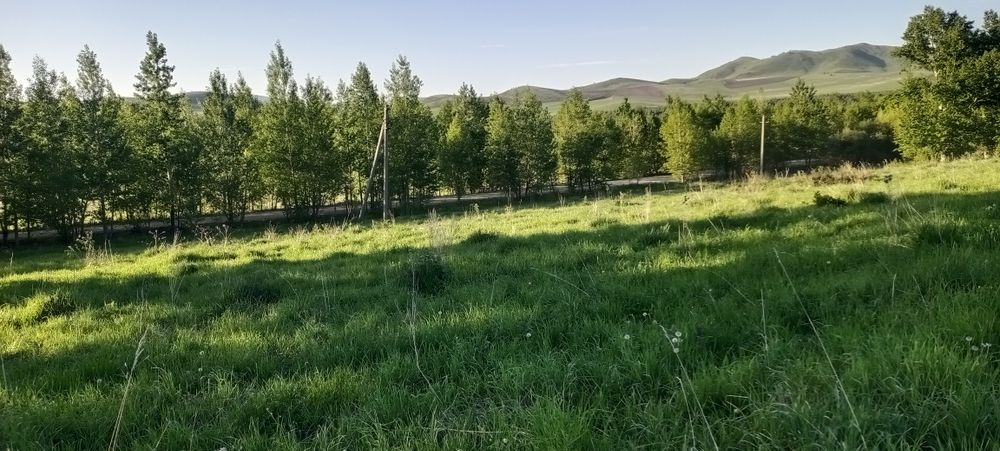 Земельный участок
