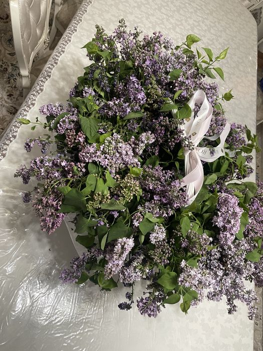 Сирень в корзине свежие