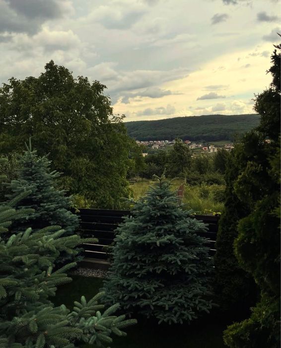 Cazare Premium în Cluj-Napoca