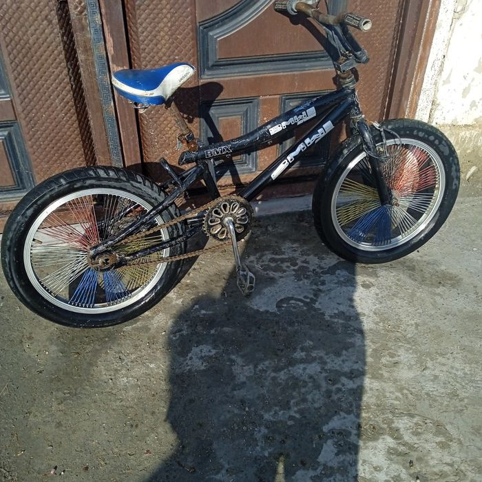 камир пакрушка янги койилган бакватидан олдинги камача