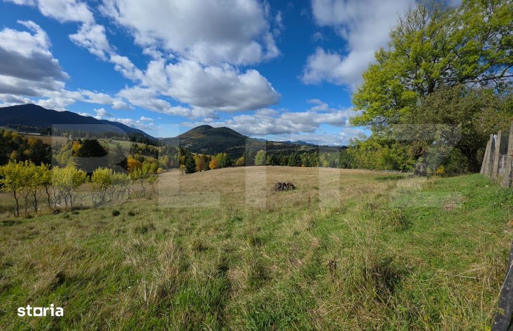 Teren 1,5 hectare - la Piatra Fantanele