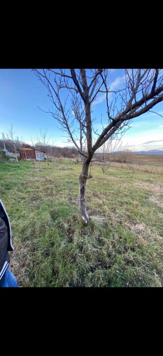 Продава се Парцел в с. Кралев дол, Област Перник - 750 кв.м за 60 €/кв.м - Снимка #3