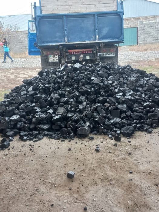 Уголь шубаркуль каражыра