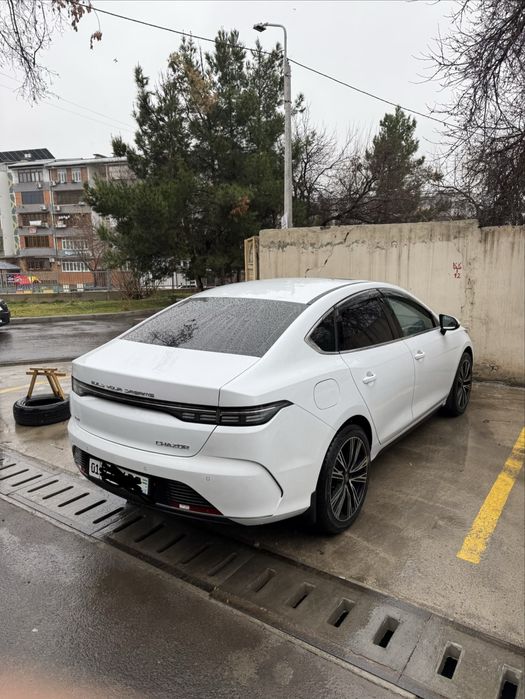 2023 холати ало топтоза